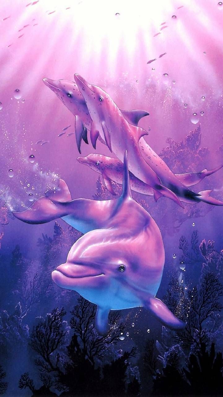 Delfini rosa sott'acqua, 720x1280 Full HD Verticale, Smartphone