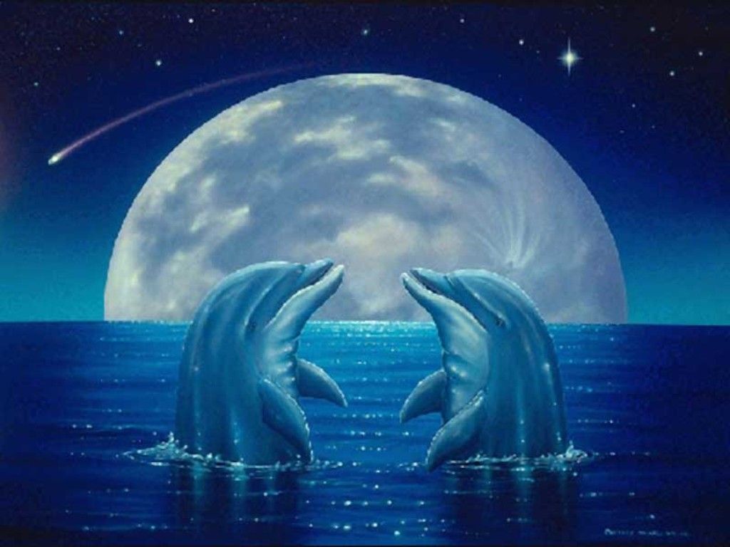 Delfini luna notte oceano, 1024x768 HD, Laptop