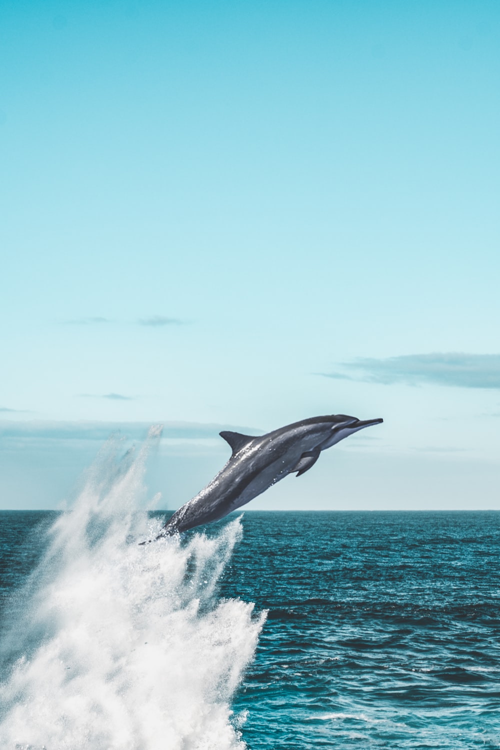 Delfino che salta dall'oceano, 1000x1500 Verticale, Mobile