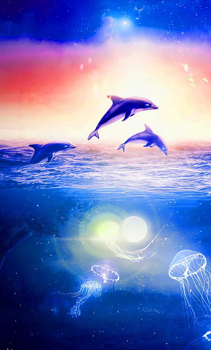 Delfini che saltano sull'oceano, 736x1219 Full HD Verticale, Smartphone