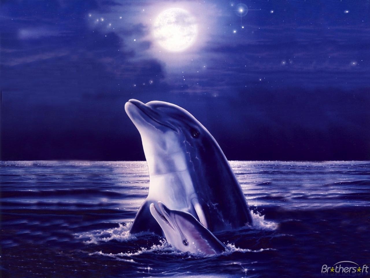 Delfini al chiaro di luna, 1280x960 720p, Laptop