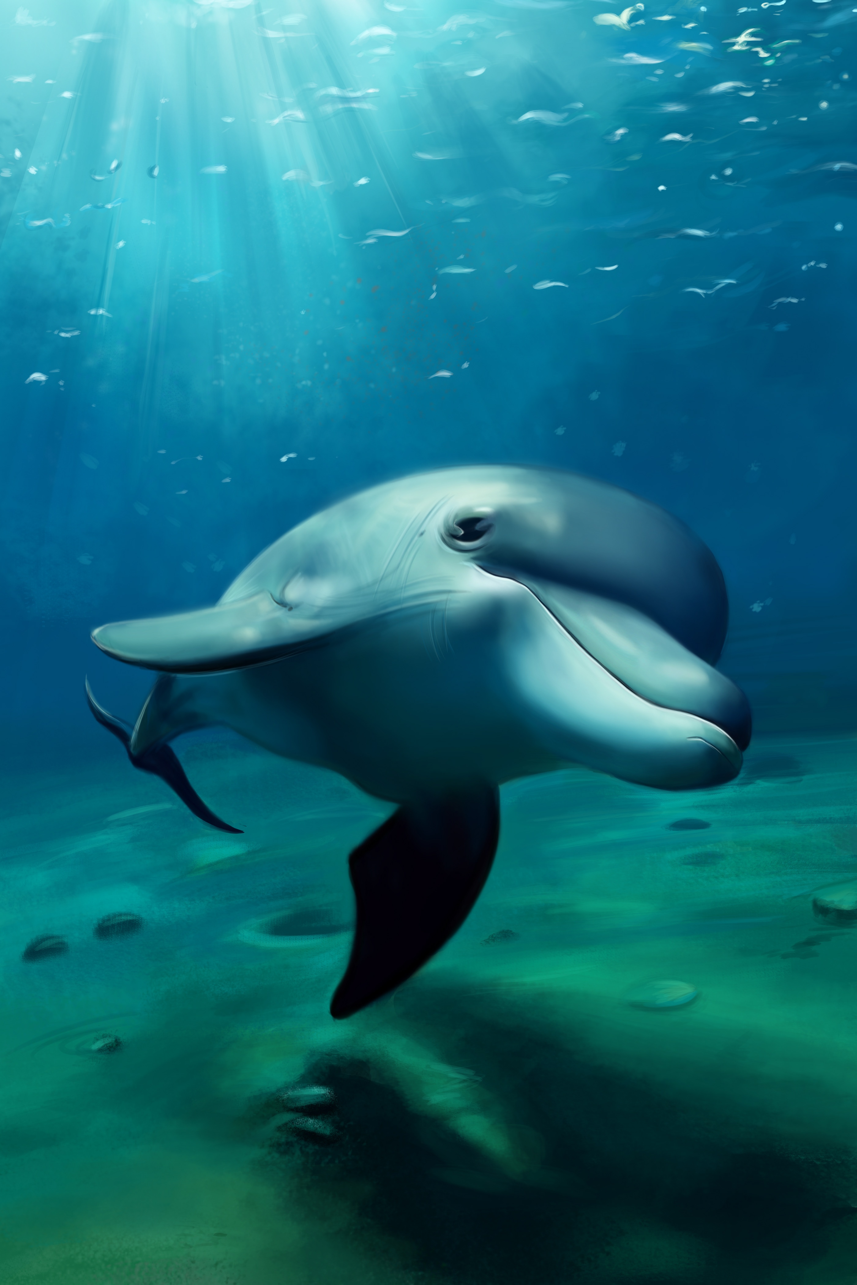 Delfino sott'acqua blu, 2800x4197 Full HD Verticale, iPhone