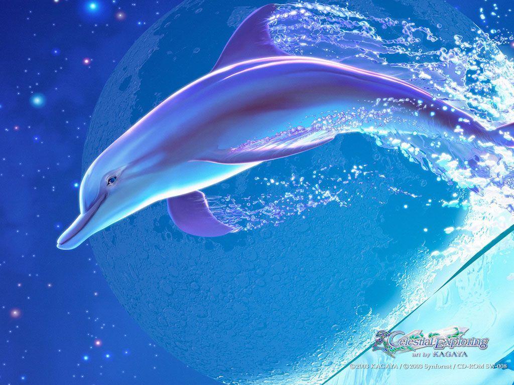 Delfino che salta nell'acqua blu, 1024x768 HD, Desktop