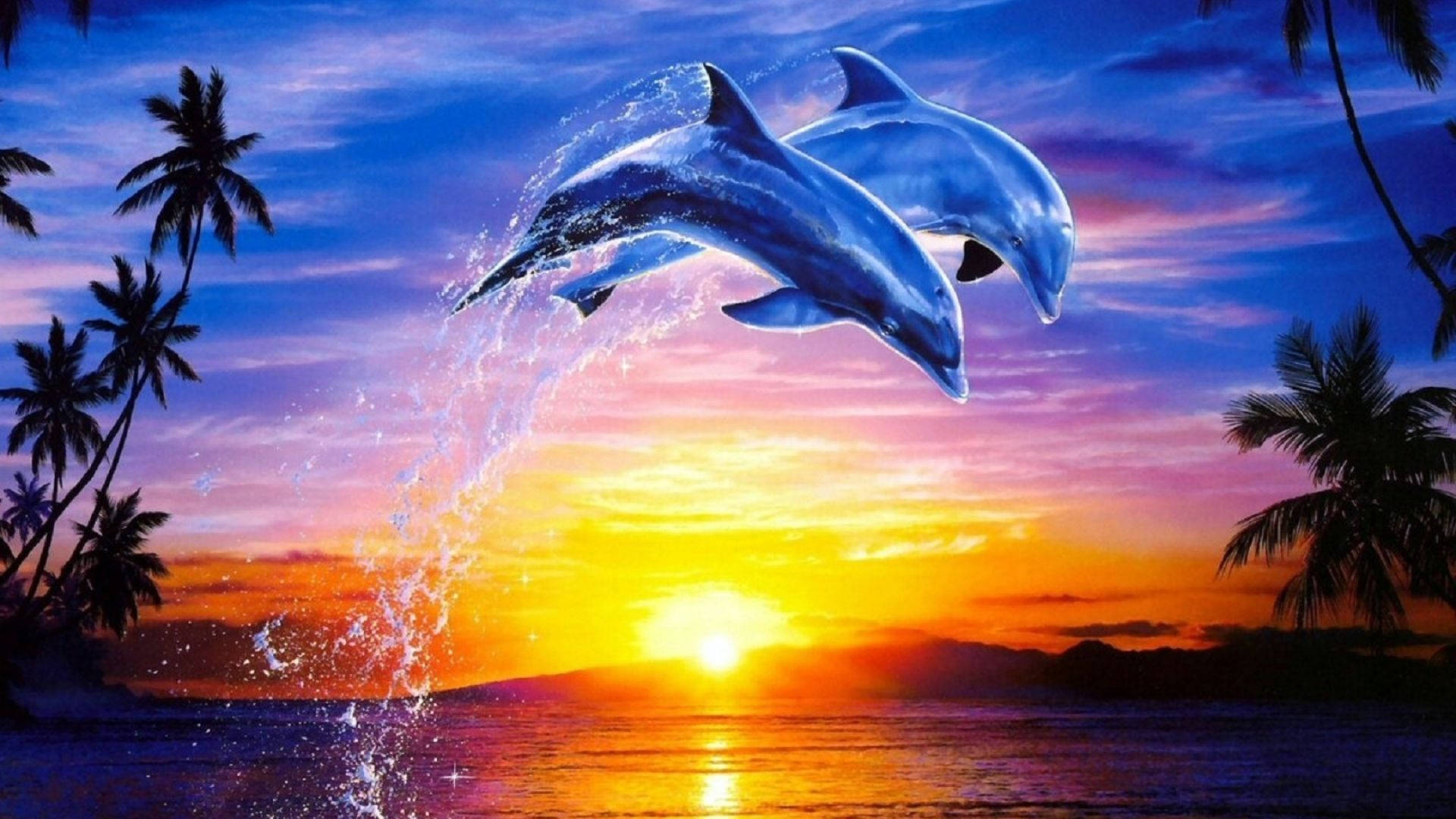 Delfini che saltano al tramonto, 1920x1080 Full HD, PC Desktop