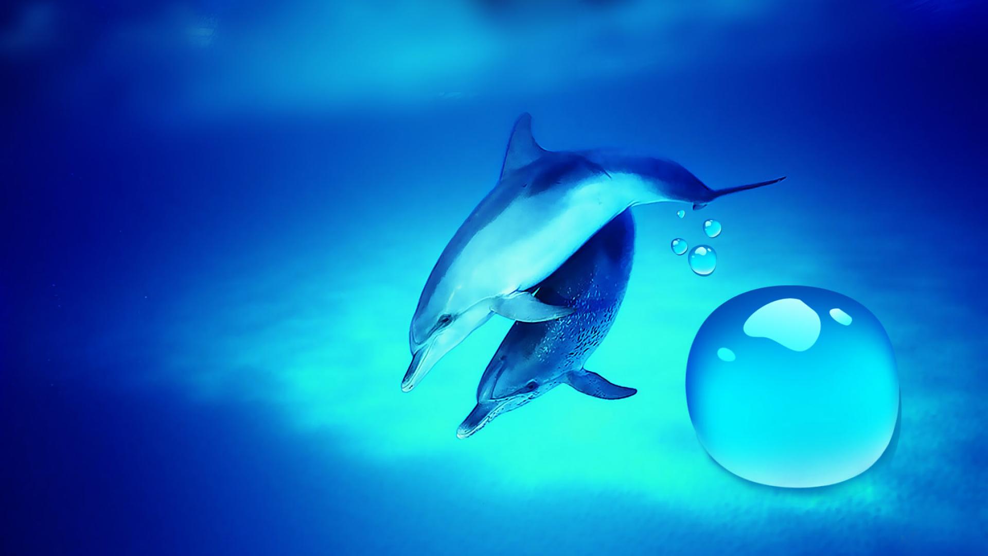 Delfini blu con bolla d'acqua, 1920x1080 1080p, PC Desktop