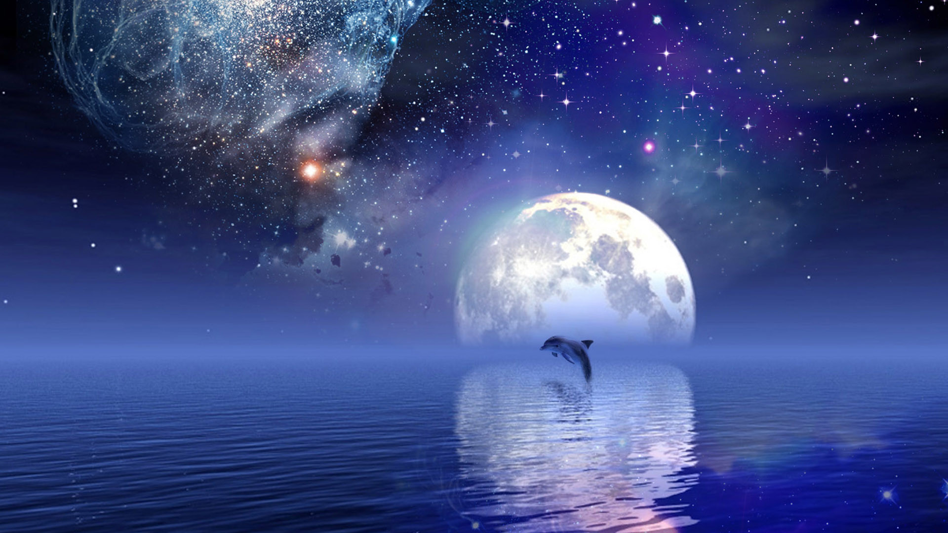 Delfino che salta luna gigante, 1920x1080 Full HD 1080p, Desktop