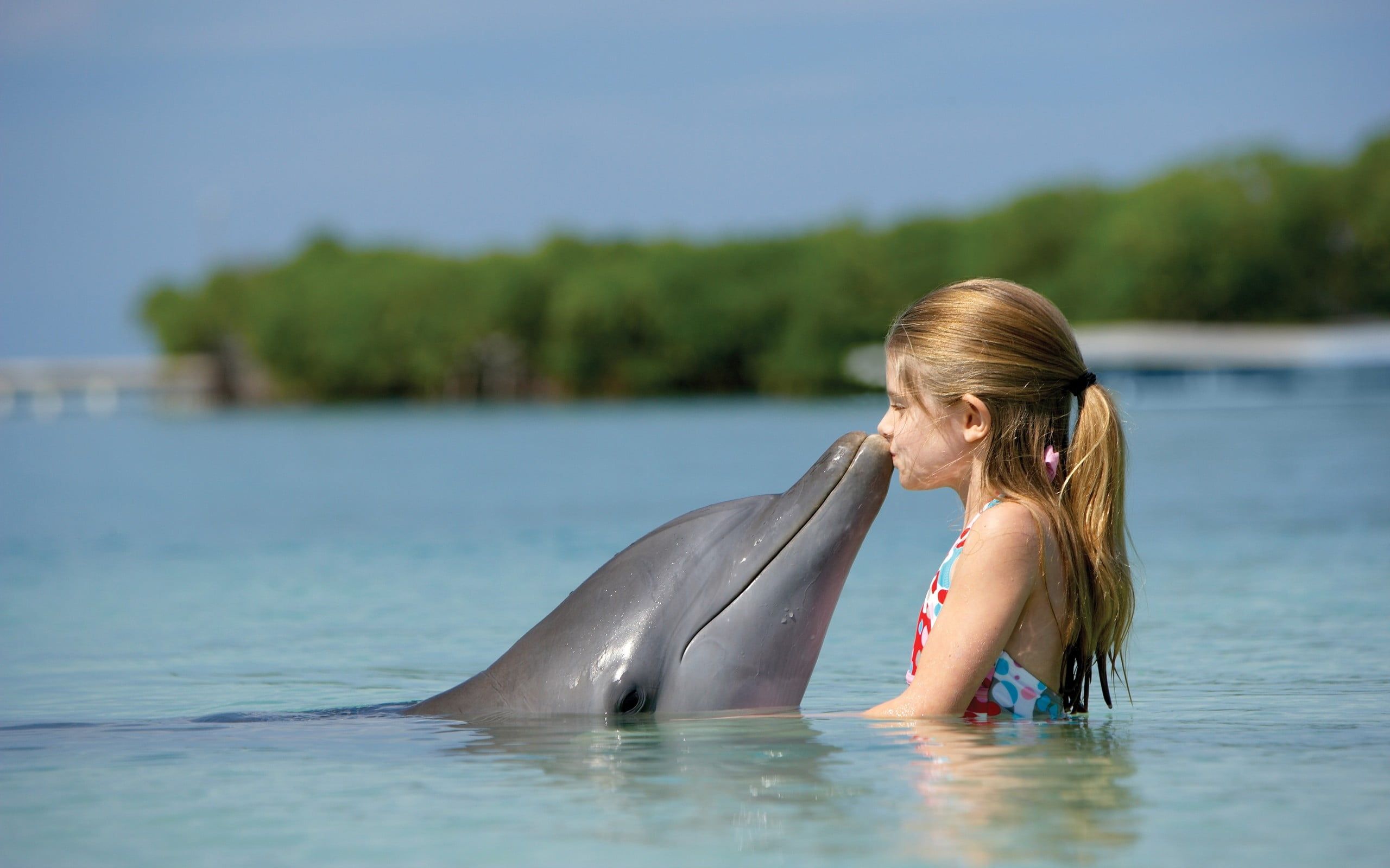 Bambina bacia delfino nero, 2560x1600 2K+, MacBook Pro