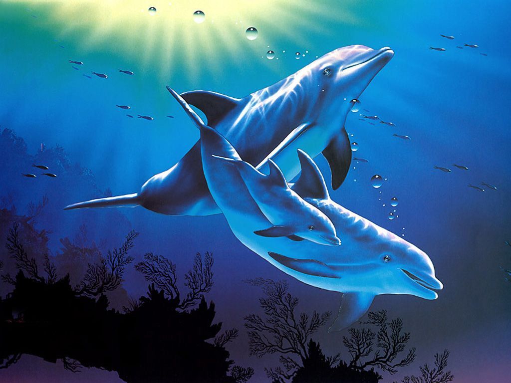 Delfino che salta dall'acqua, 1024x768 HD, Desktop