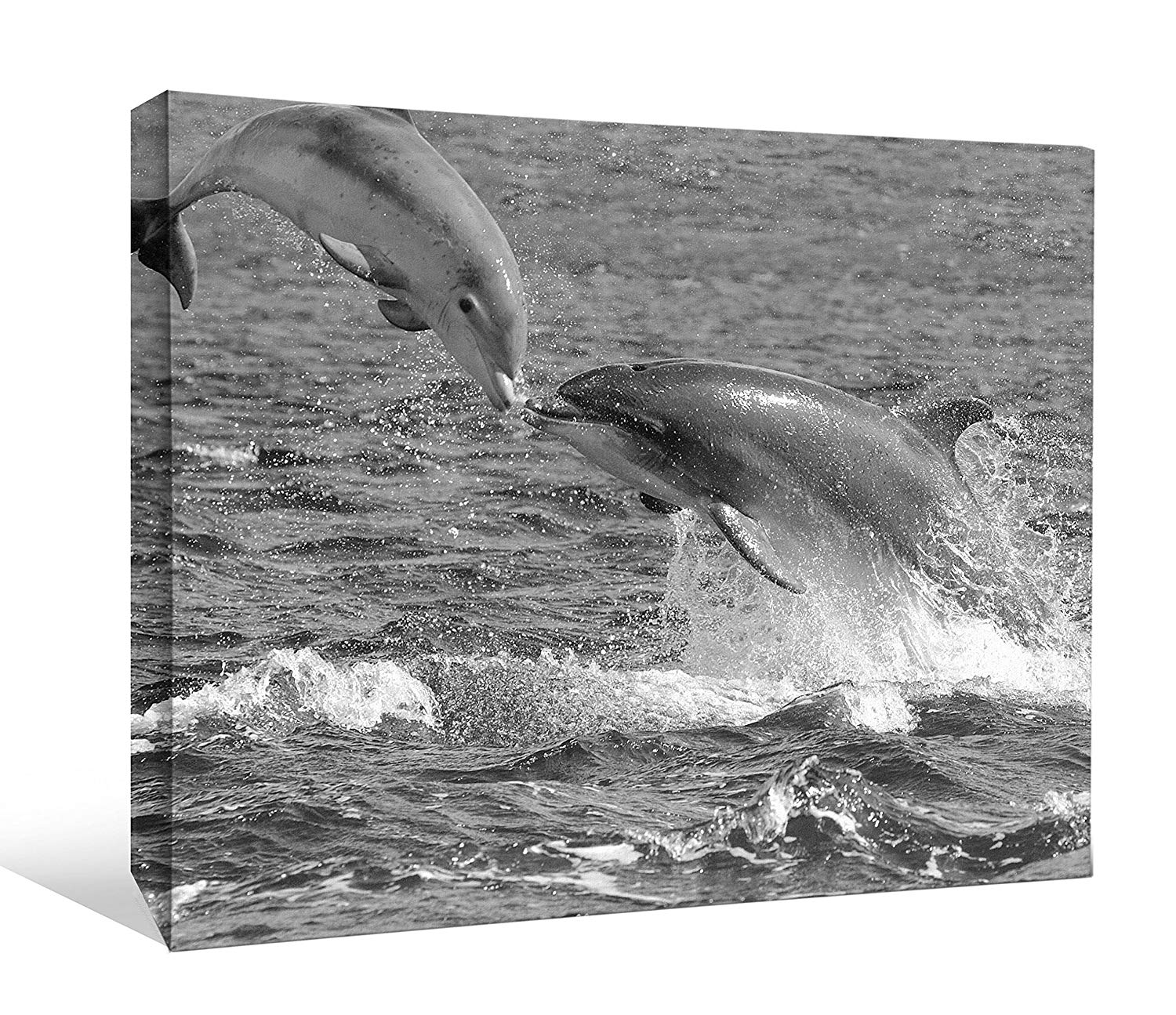 Delfini che saltano, bianco e nero, 1500x1295 HD, Desktop