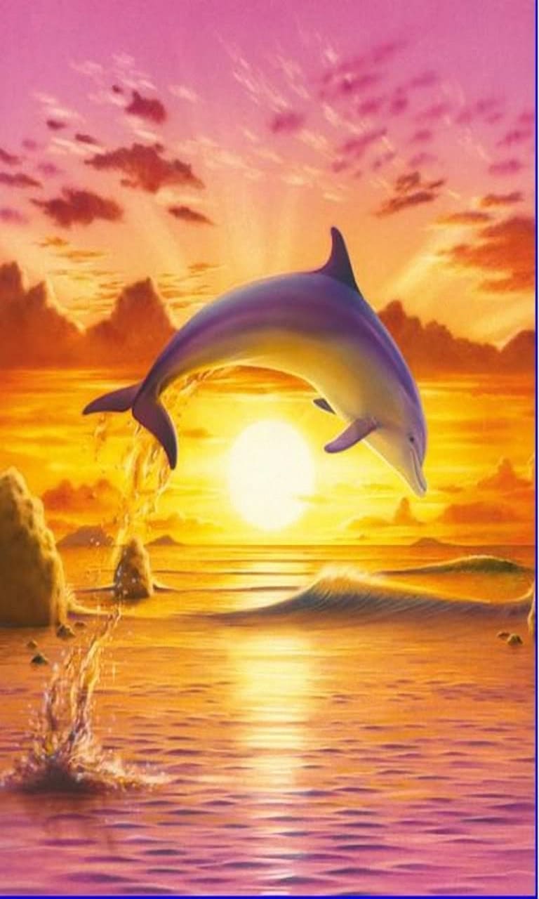Delfino che salta al tramonto, 768x1280 Full HD Verticale, iPhone