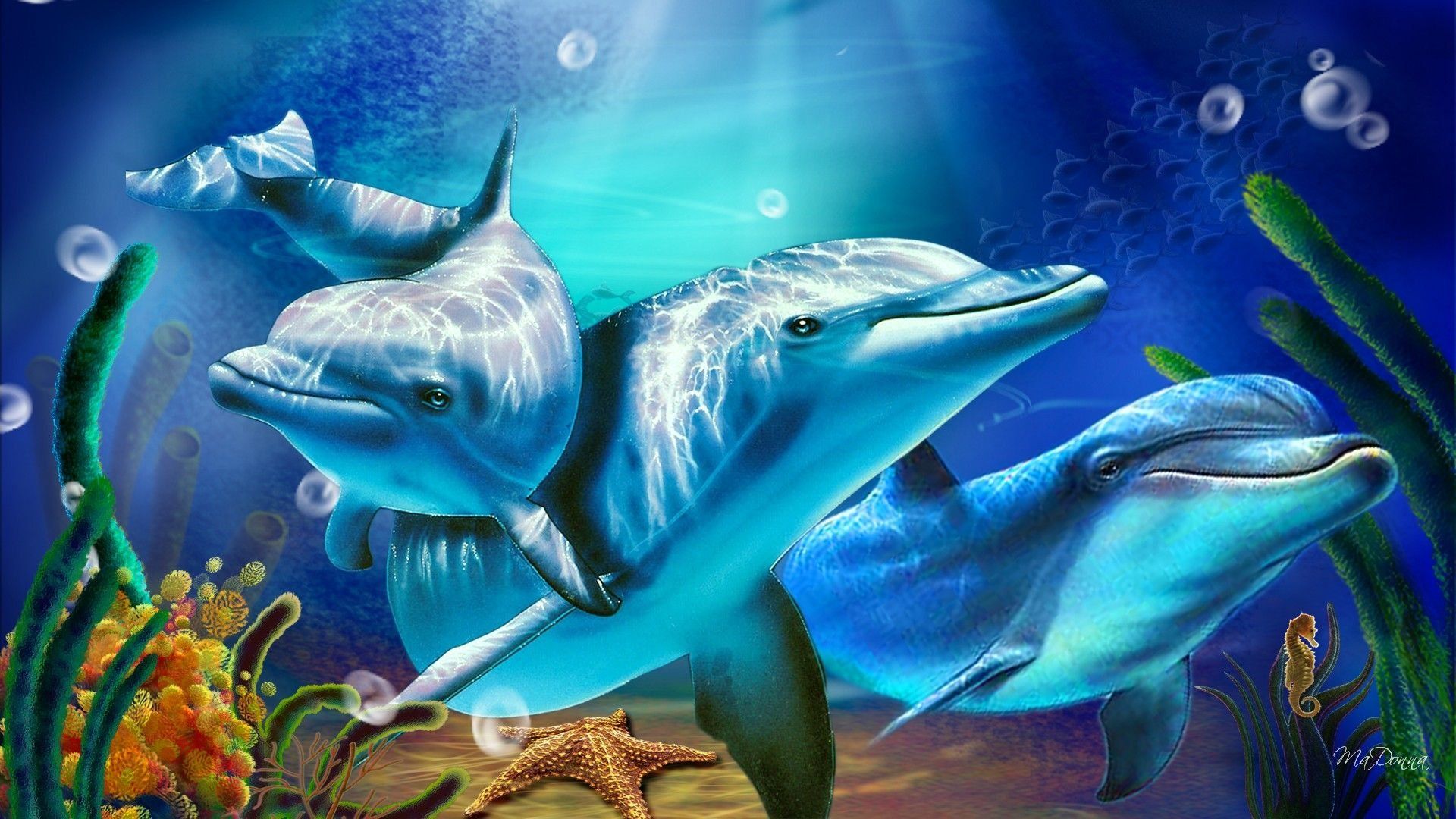 Delfini blu subacquei, 1920x1080 1080p, Desktop