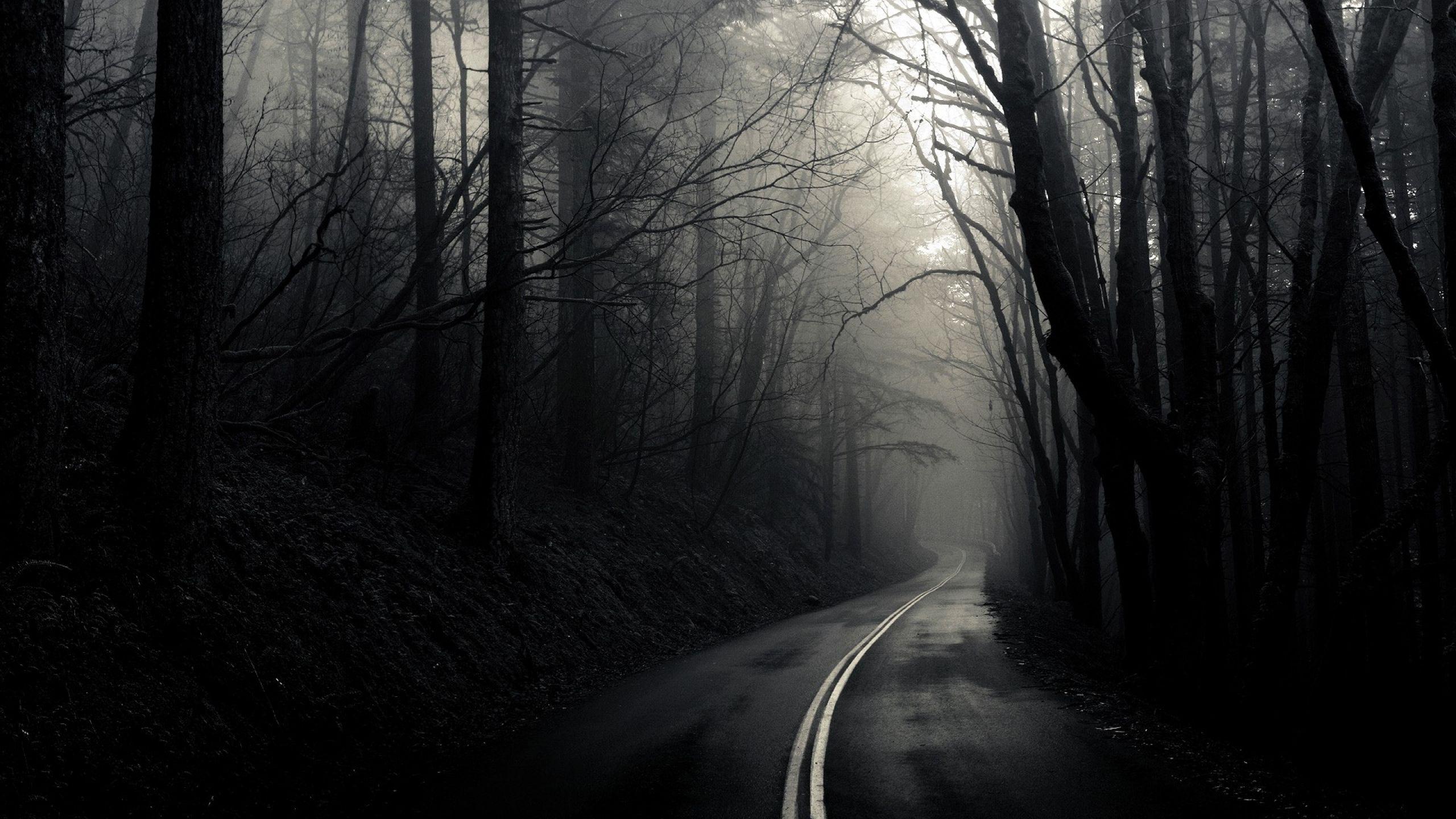 strada buia nella nebbia, 2560x1440 2K, Desktop