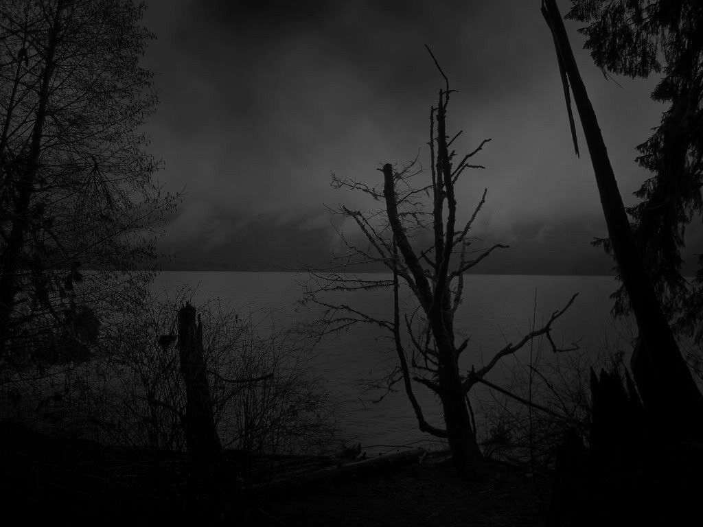 Lago scuro con albero spoglio, 1024x768 HD, Laptop