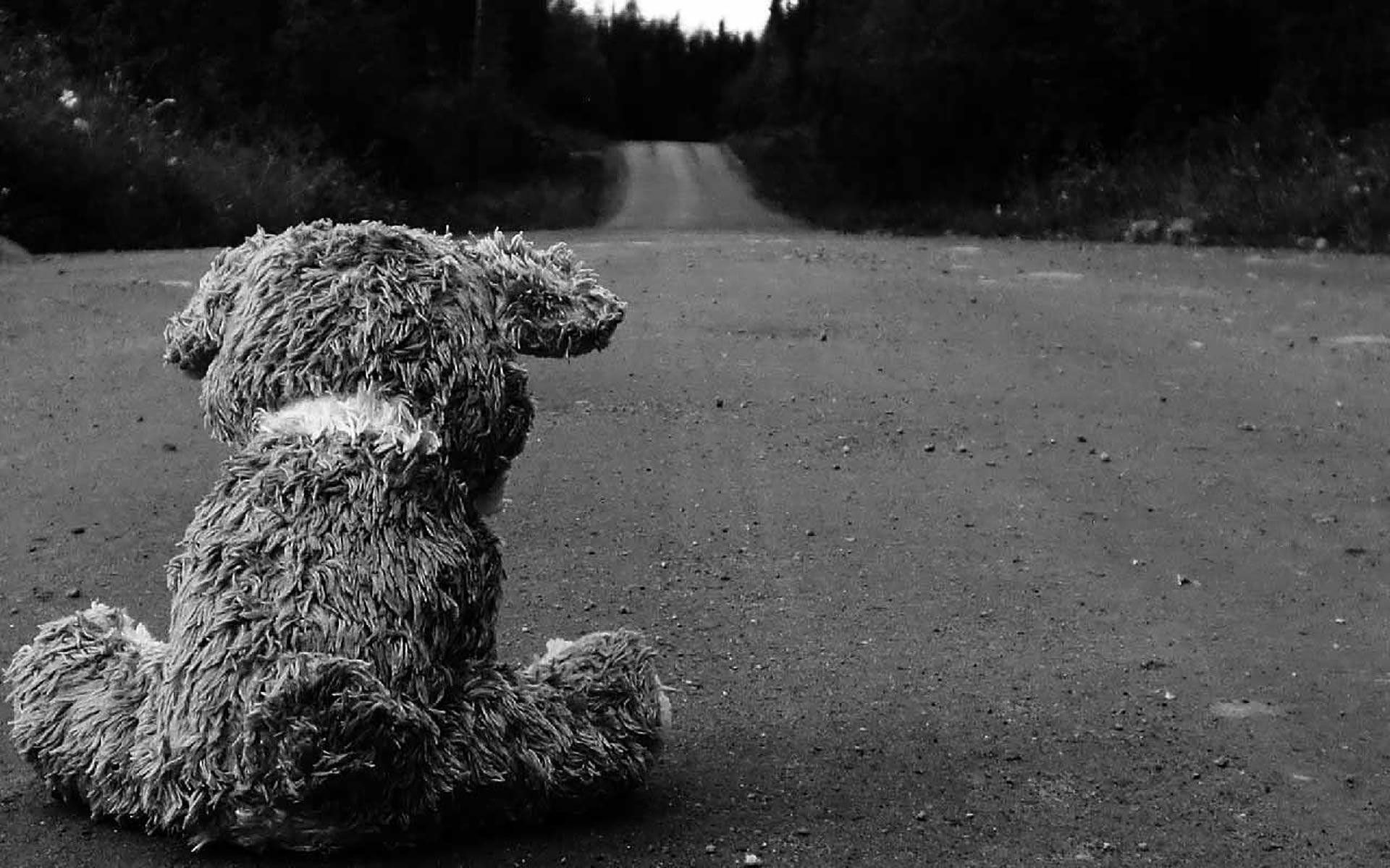 Orsacchiotto solo su strada, 1920x1200 Full HD+, Laptop