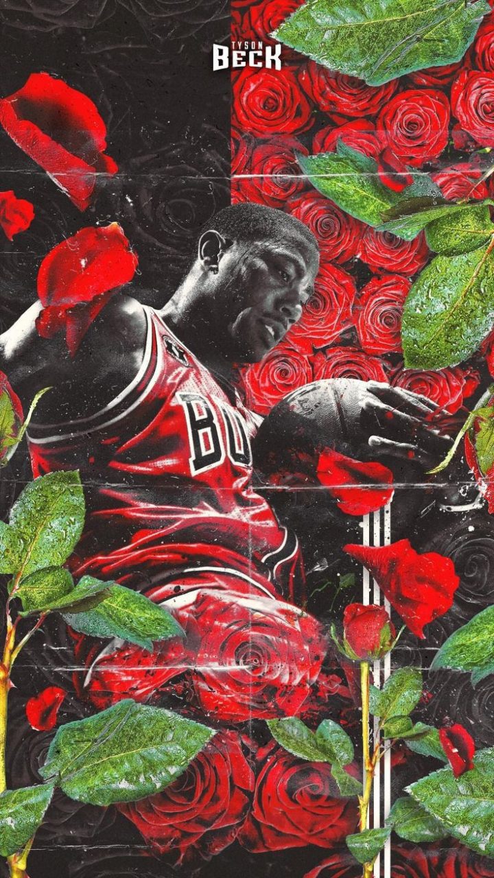 Derrick Rose Bulls rose rosse, 720x1280 Verticale, iPhone Pro Max