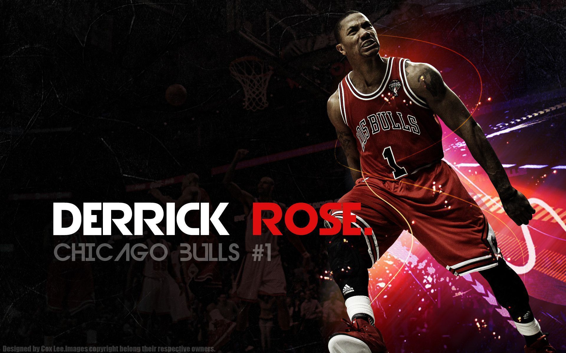 Derrick Rose Chicago Bulls, 1600x900 HD Ready, PC