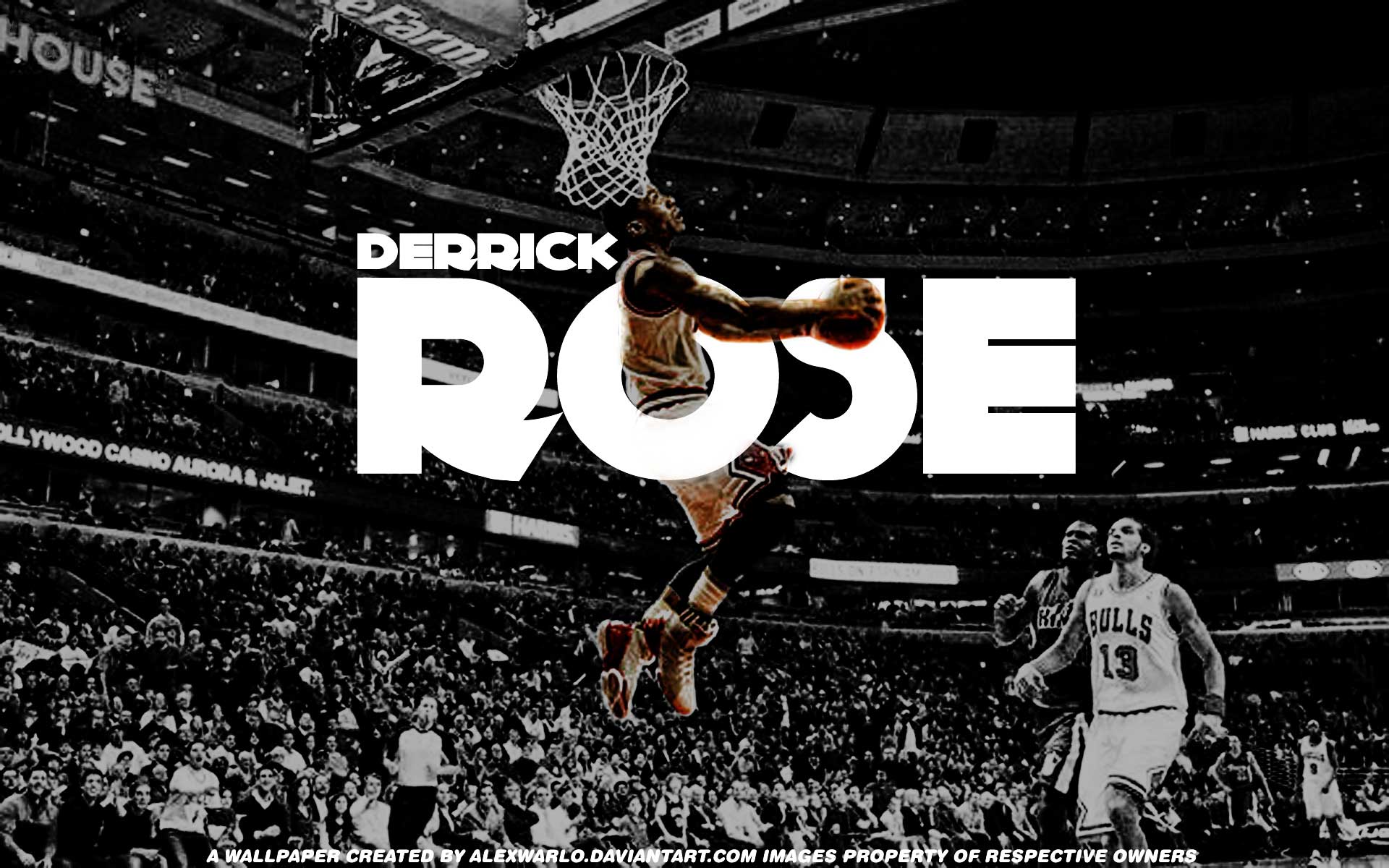 Derrick Rose Chicago Bulls, 1600x900 HD Ready, Desktop