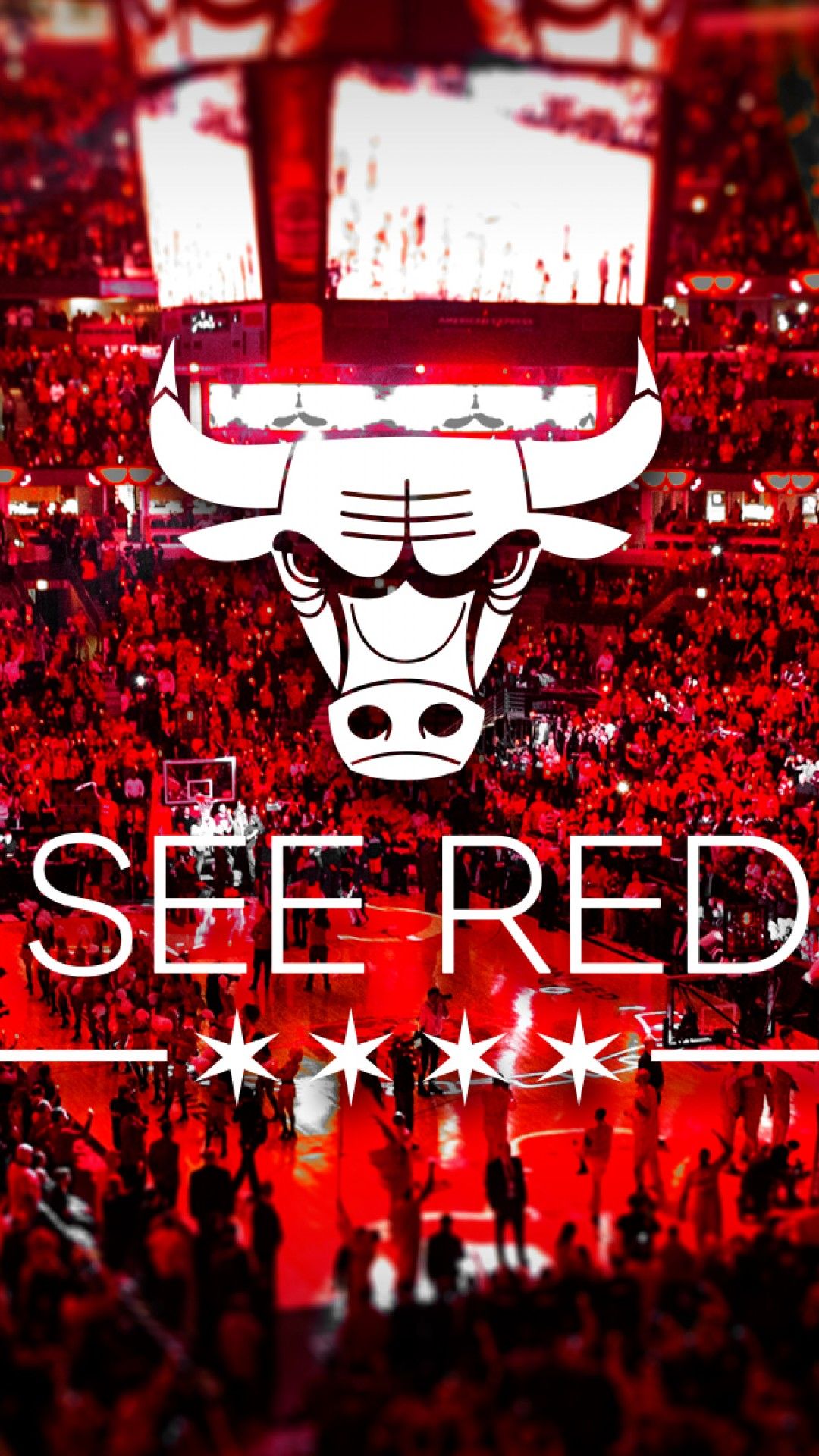 Derrick Rose Chicago Bulls basket, 1231x812 HD, Desktop