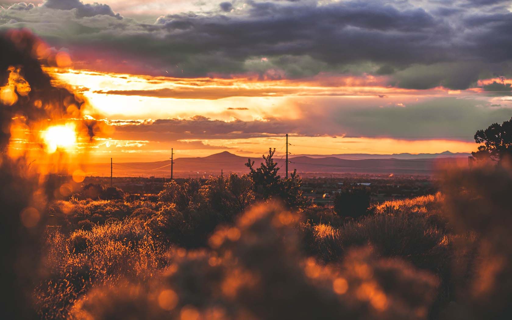 Tramonto deserto con arbusti, 1680x1050 900p, Desktop