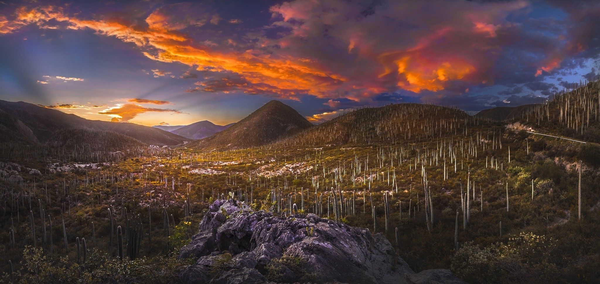 Tramonto deserto con cactus saguaro, 2048x970 alta risoluzione, PC Desktop