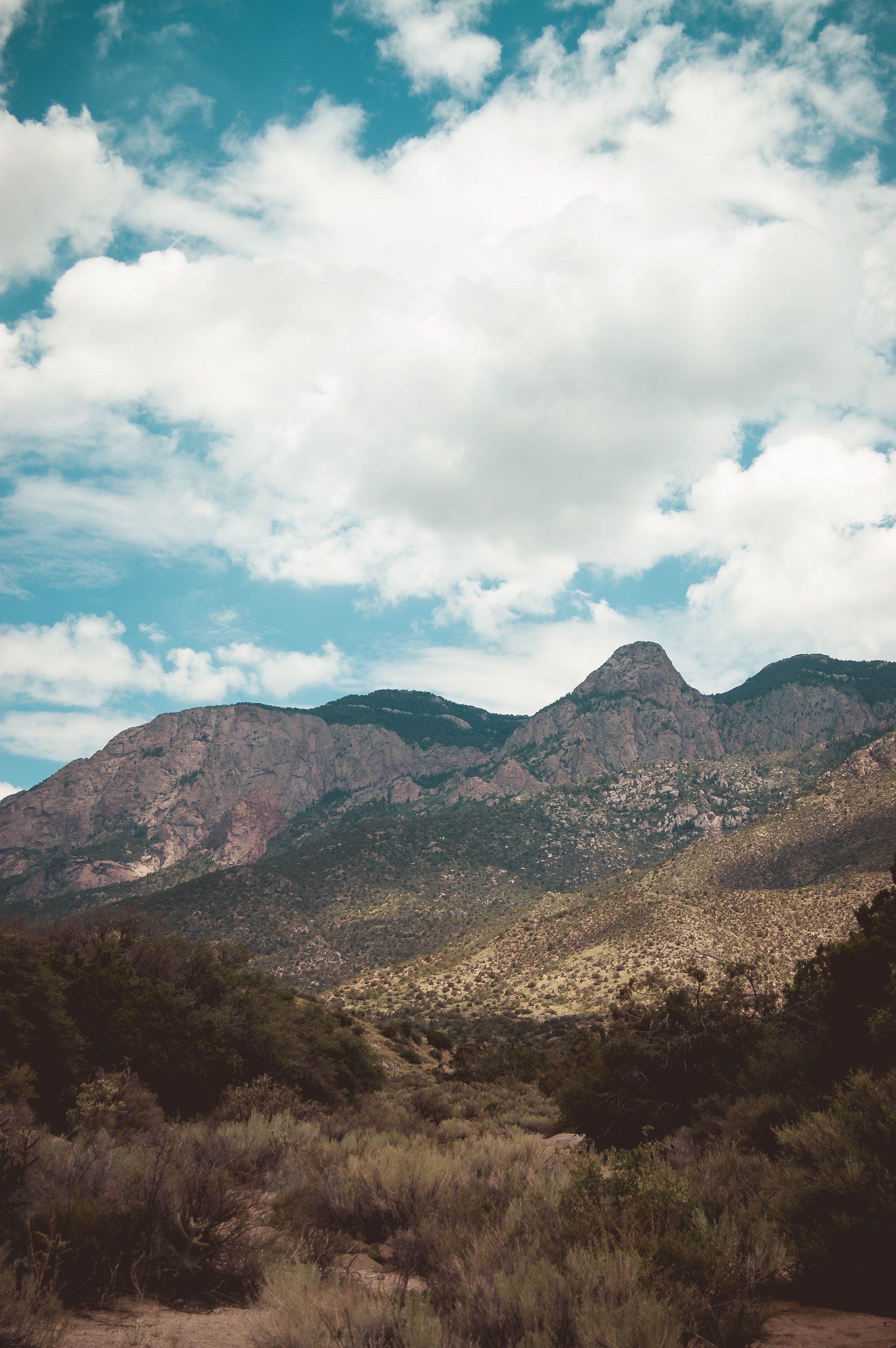 Montagne deserto New Mexico, 2000x3008 Full HD Verticale, Smartphone