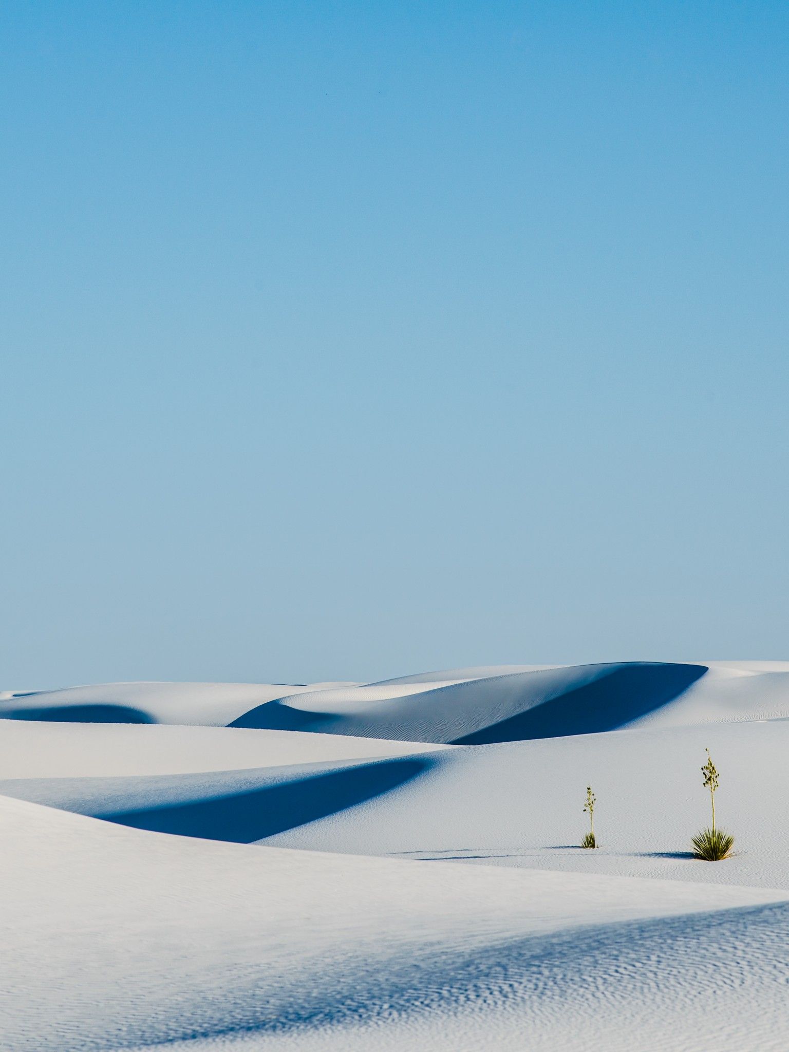 Dune bianche White Sands New Mexico, 1536x2048 Verticale, Android