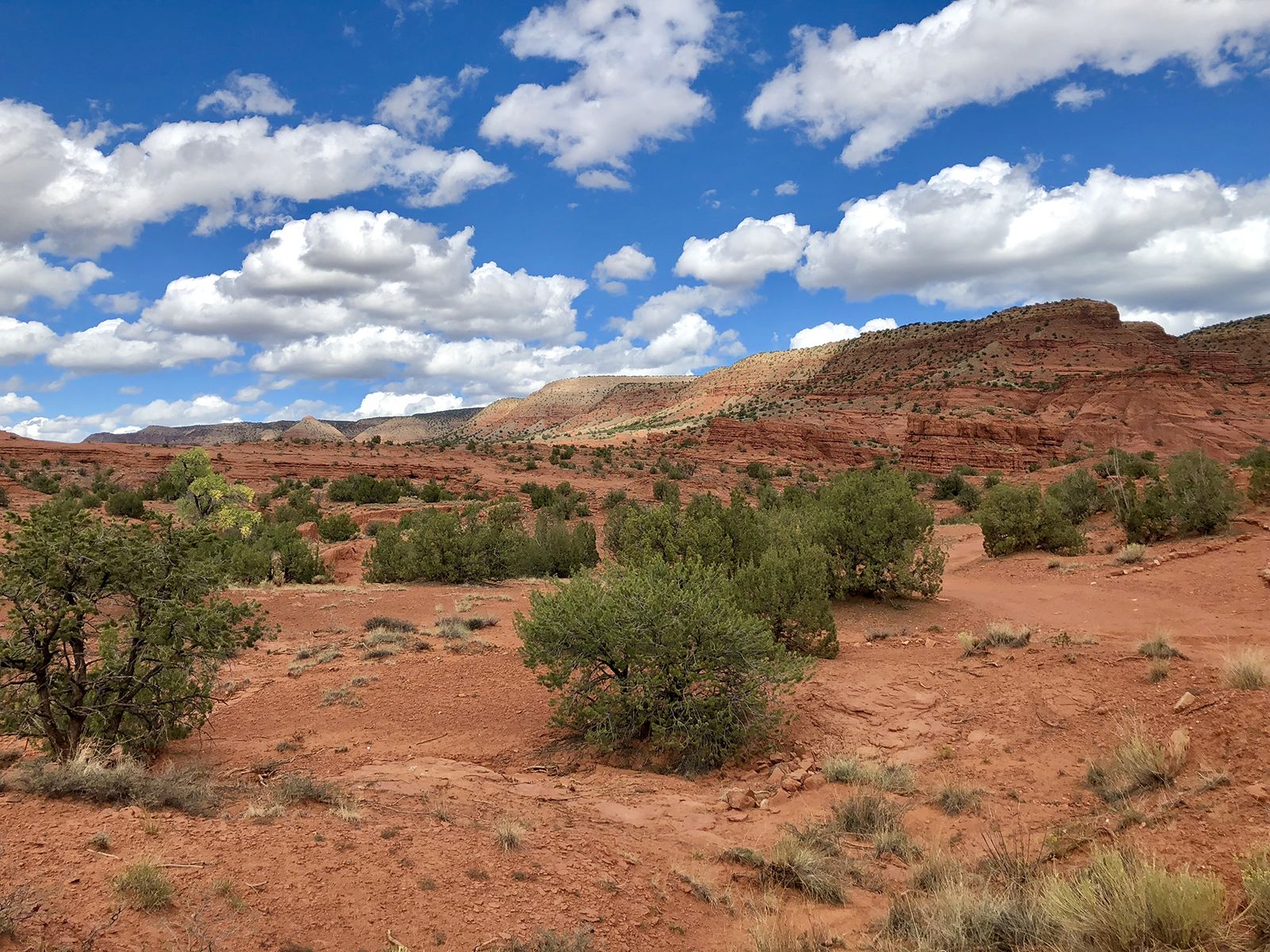 Deserto roccioso con cespugli e mesa, 1600x1200 HD, PC