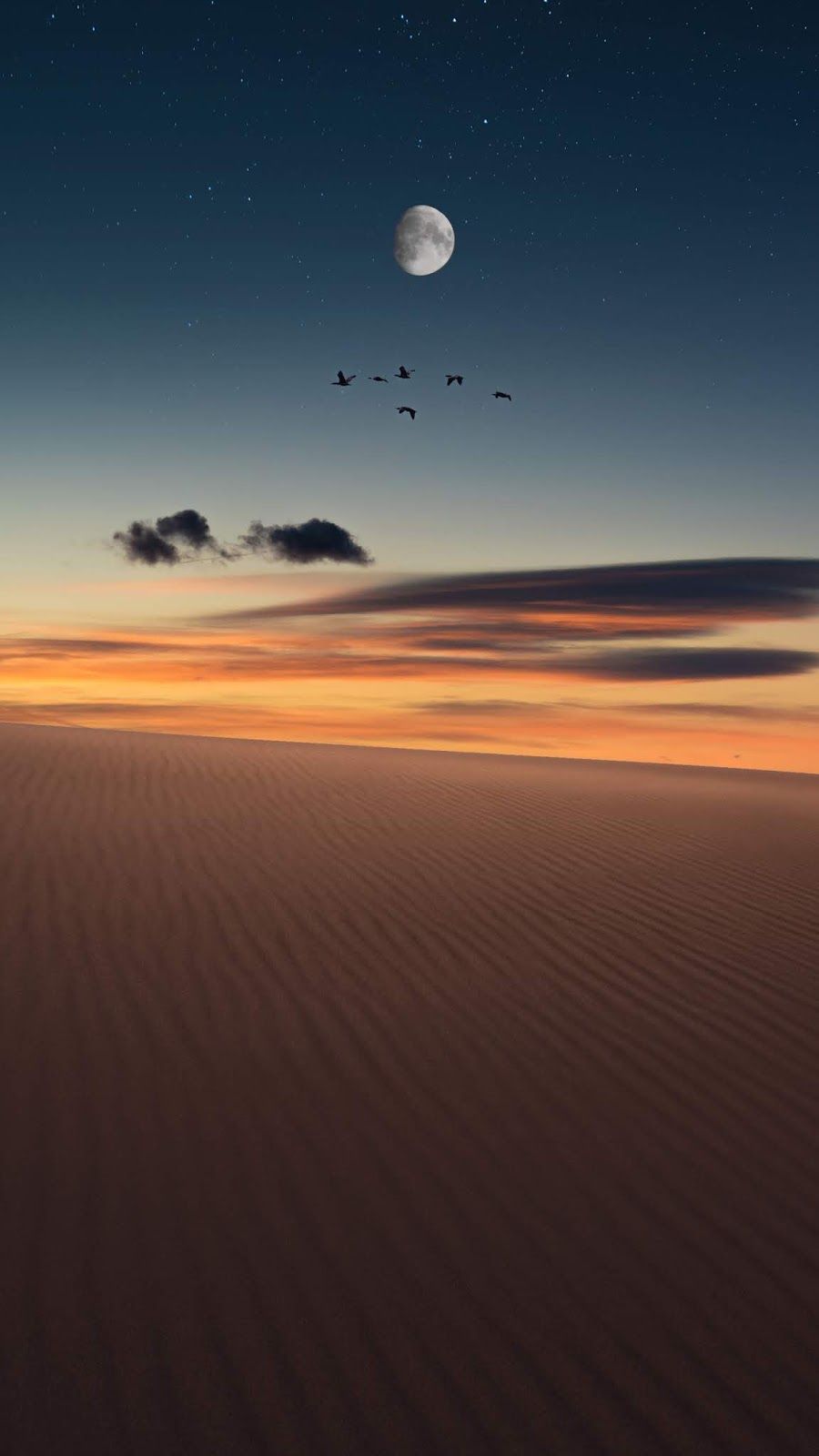 Deserto notturno con luna, 900x1600 Verticale, Mobile