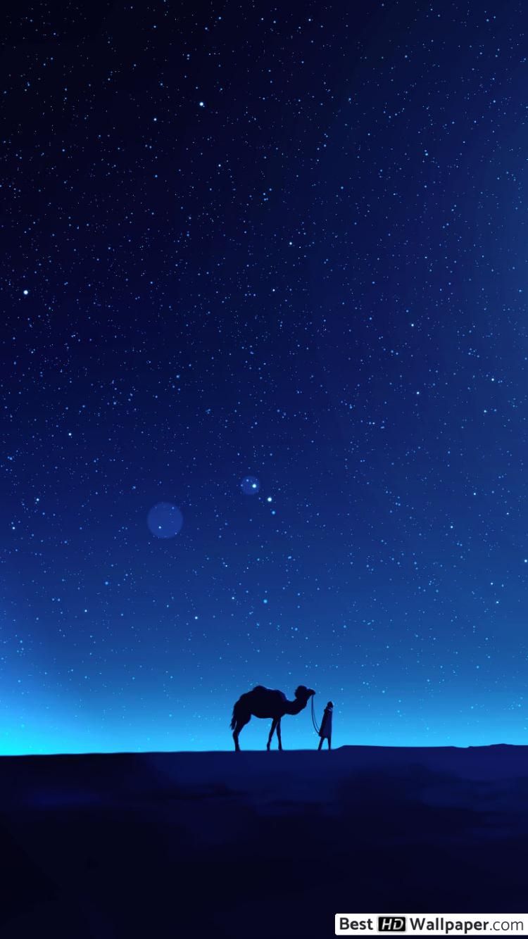 Deserto notturno con cammello, 750x1334 Full HD Verticale, Smartphone