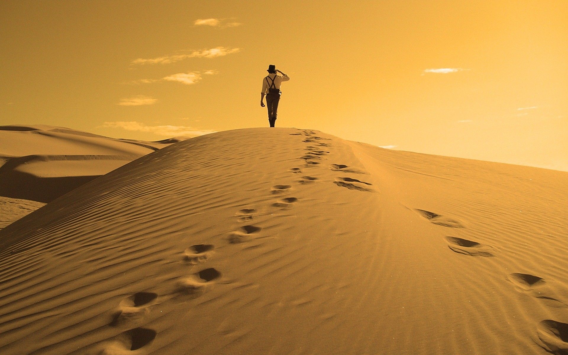 Persona che cammina nel deserto, 1920x1200 Full HD+ WUXGA, Laptop
