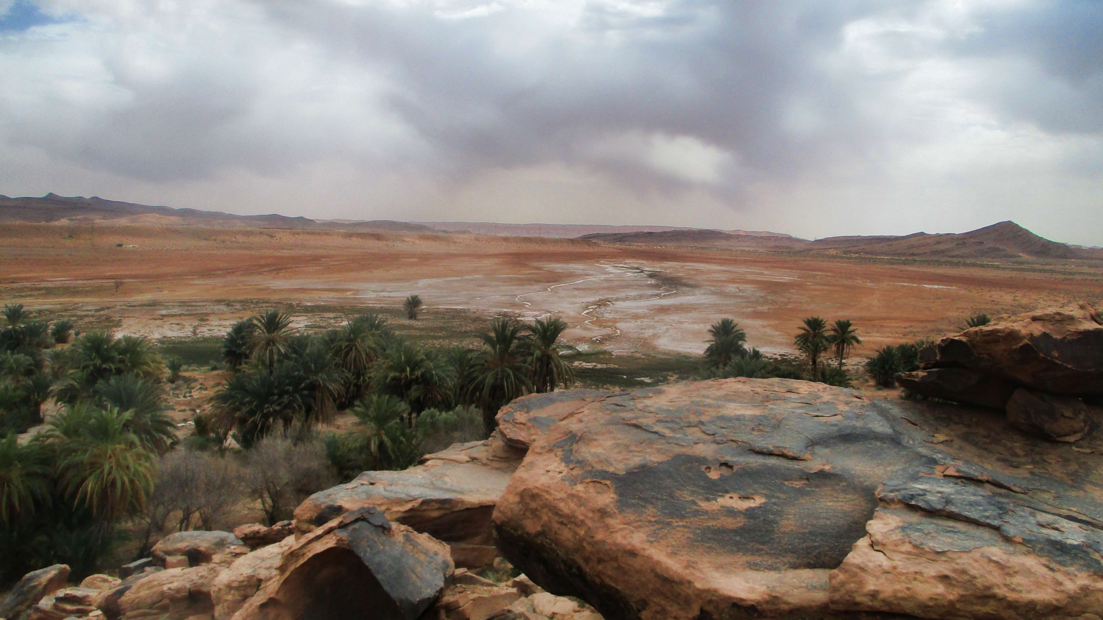 Deserto con oasi di palme, 3840x2159 UHD, PC 4K