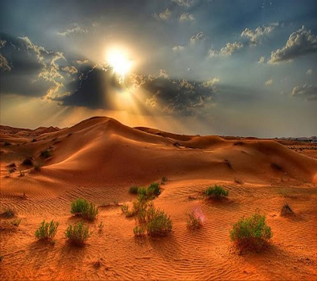 Dune deserto con sole e cespugli, 1080x960 HD, PC Desktop