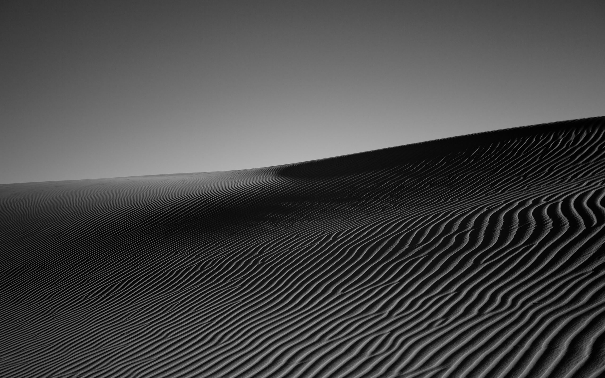 Dune di sabbia in bianco e nero, 2560x1600 2K+, Desktop