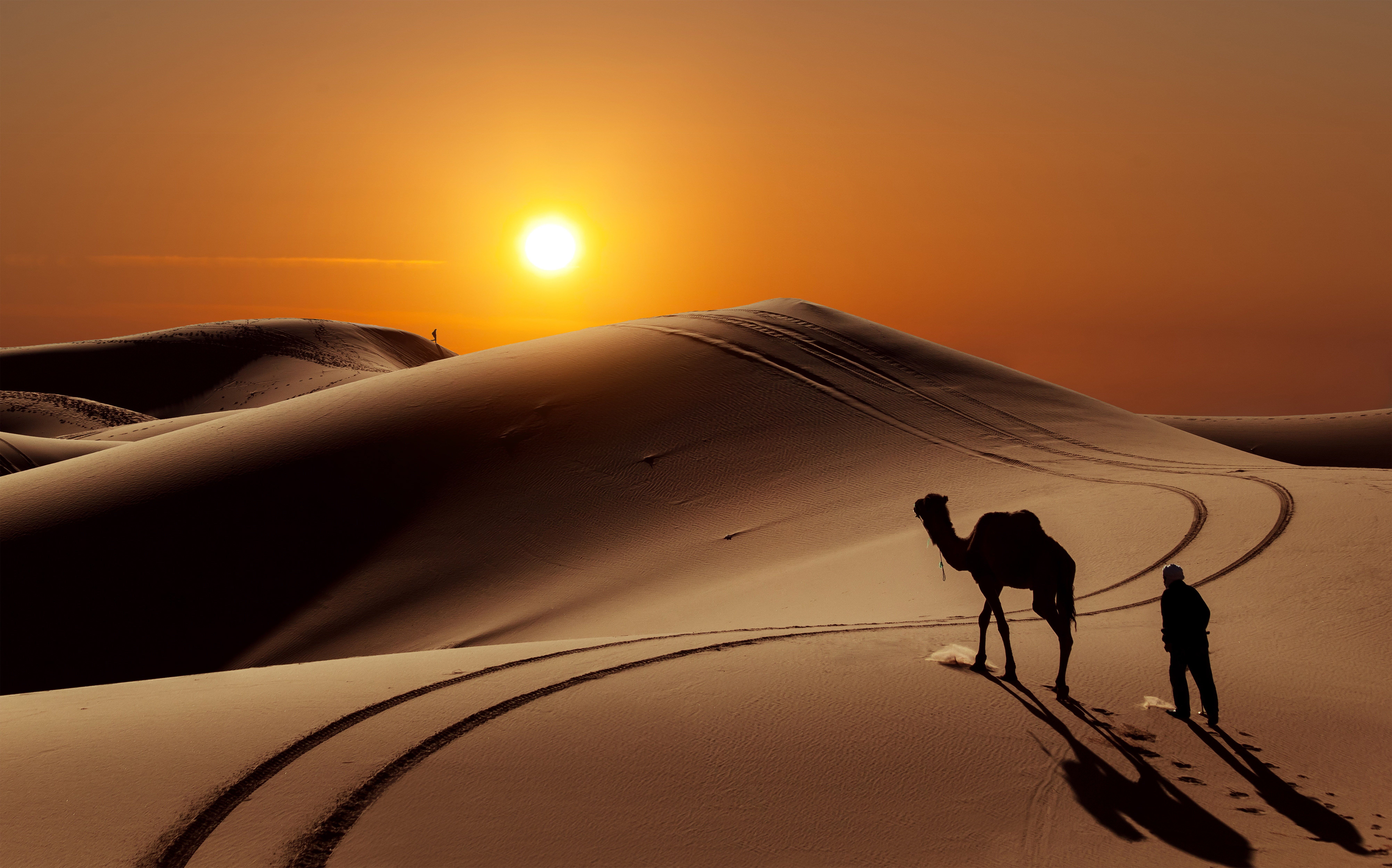 Cammello e persona nel deserto, 8014x5000 UHD, PC 4K