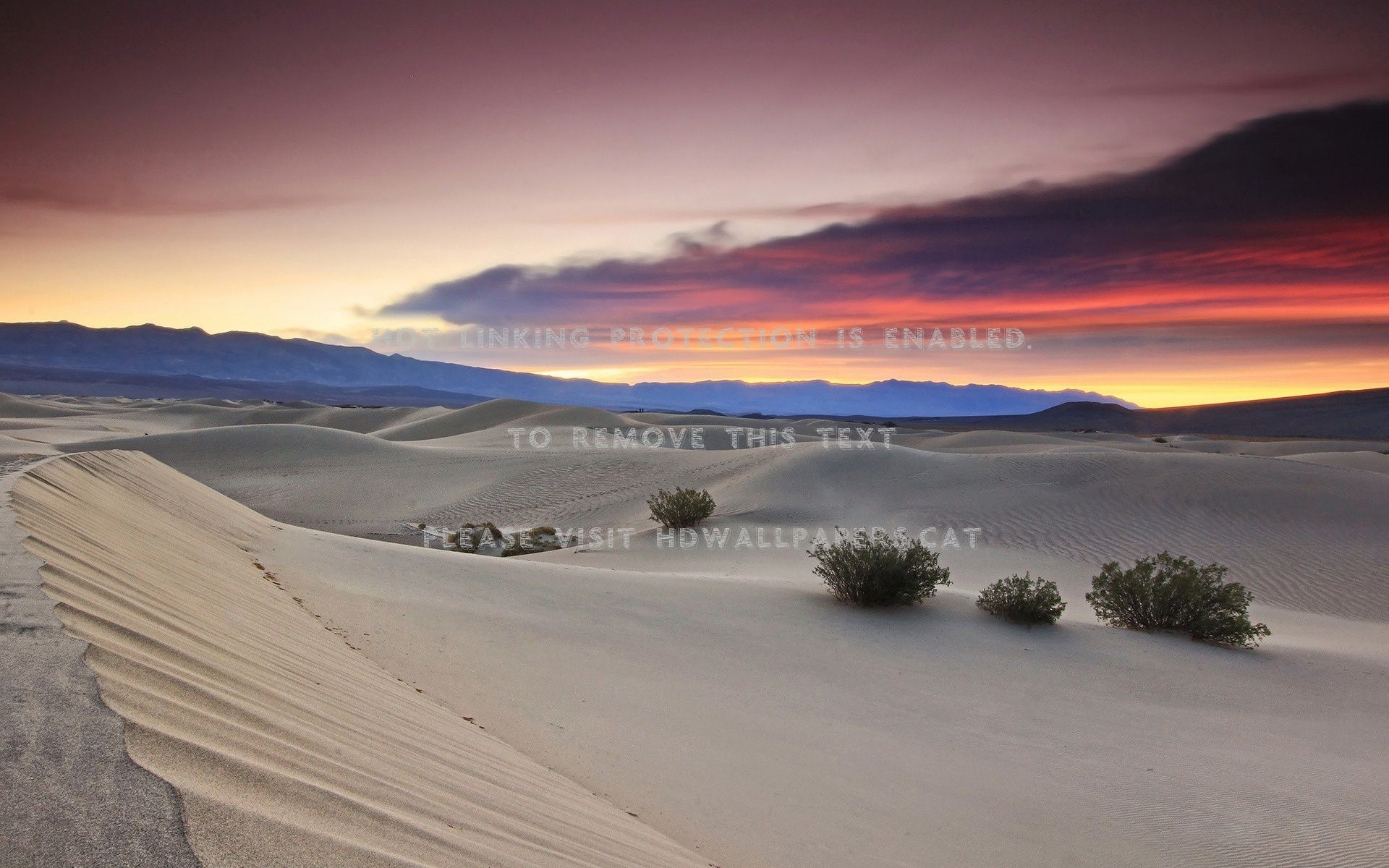Dune deserto tramonto cespugli, 1920x1200 Full HD+ WUXGA, Laptop