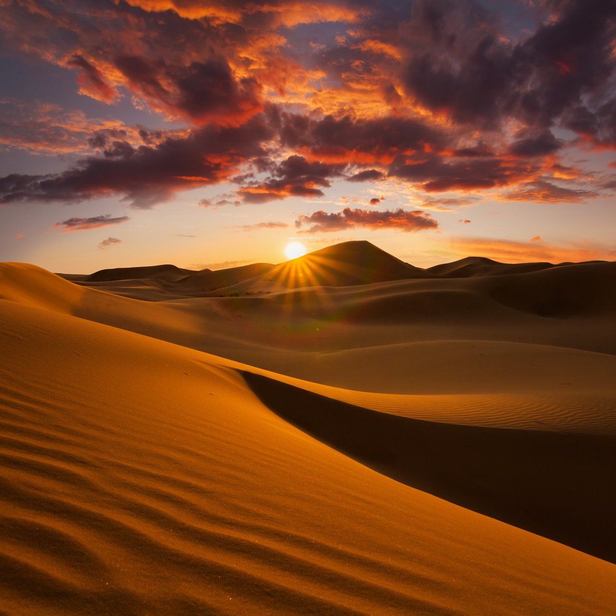 Dune deserto al tramonto, 1200x1200 HD, MacBook Air