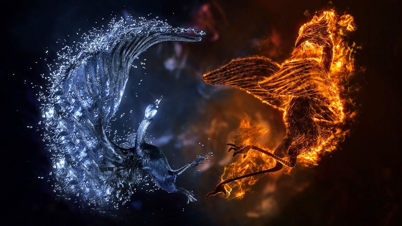 Fenice di fuoco e acqua, 1600x900 HD, PC