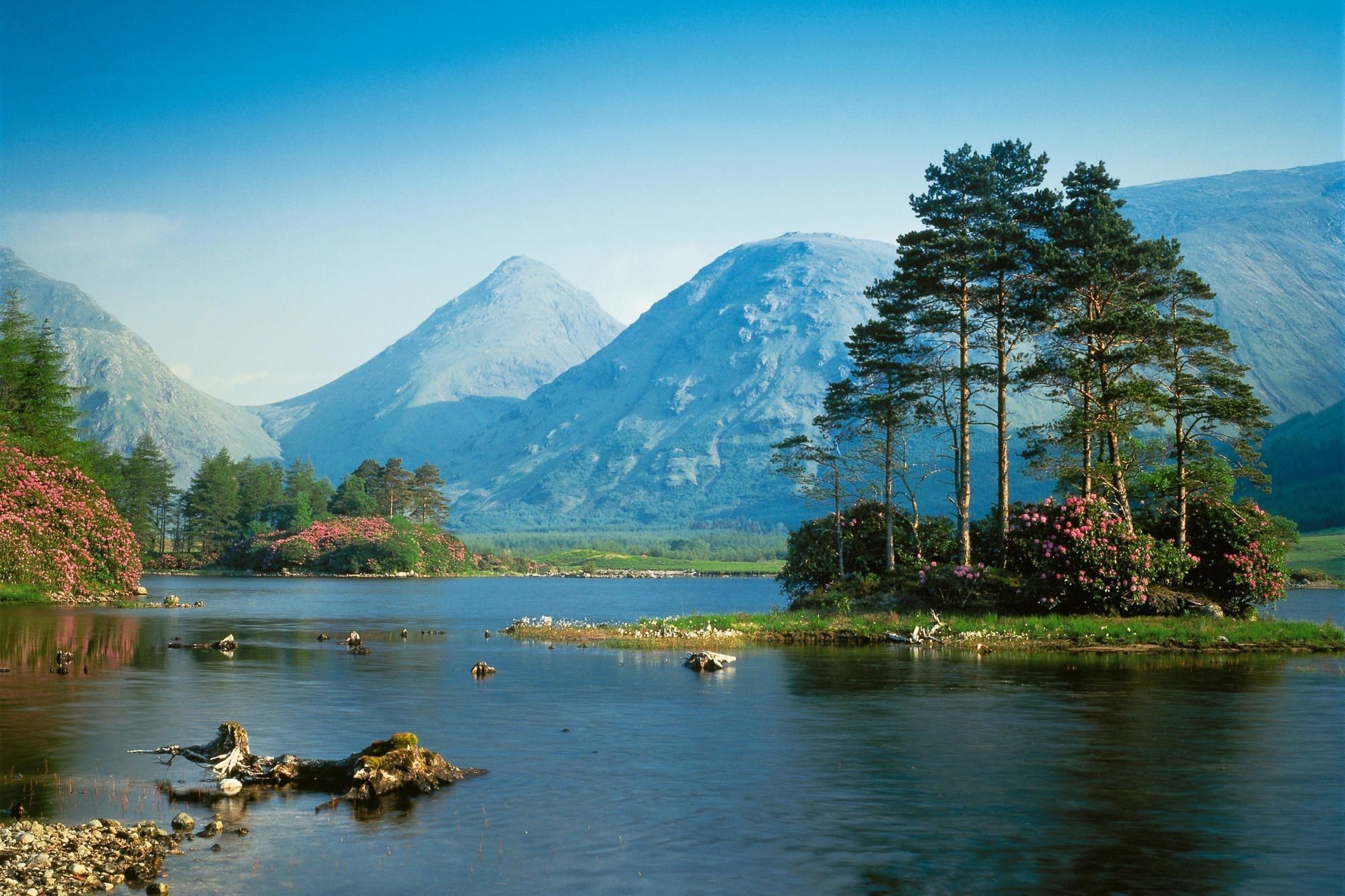 Lago montano con alberi, 1999x1333 WUXGA, Desktop