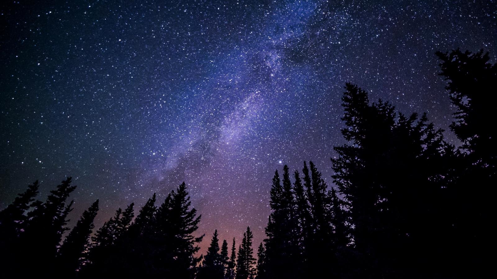 Cielo stellato con silhouette alberi, 1600x900 900p, PC