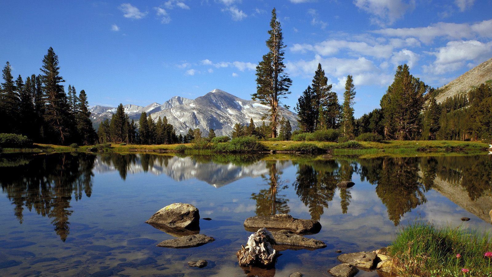 Lago di montagna con pini, 1600x900 HD Ready, PC