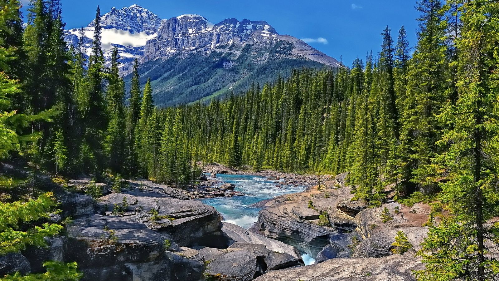 Fiume montano tra pini Canada, 1600x900 HD Ready, PC Desktop