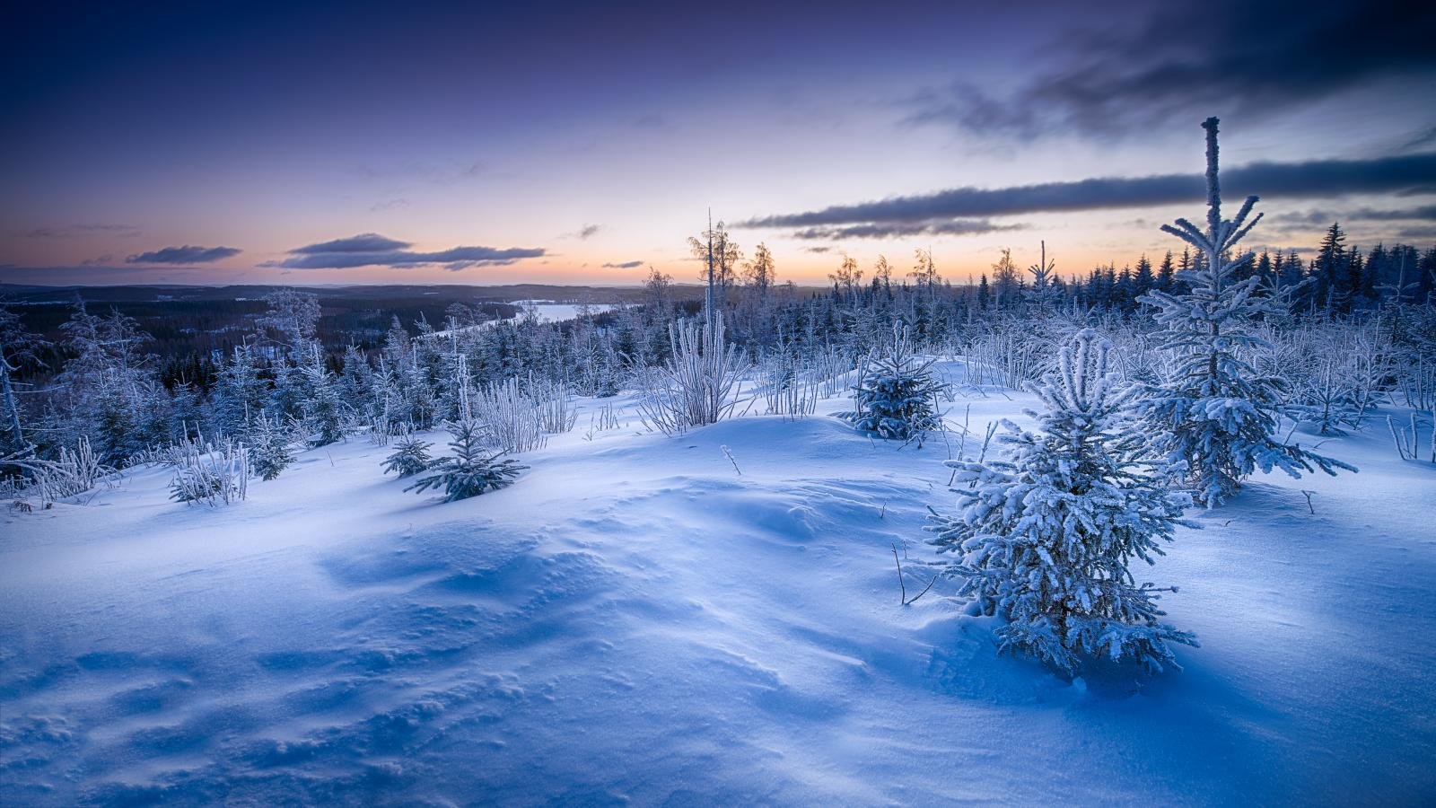 Paesaggio invernale innevato al tramonto, 1600x900 900p, PC