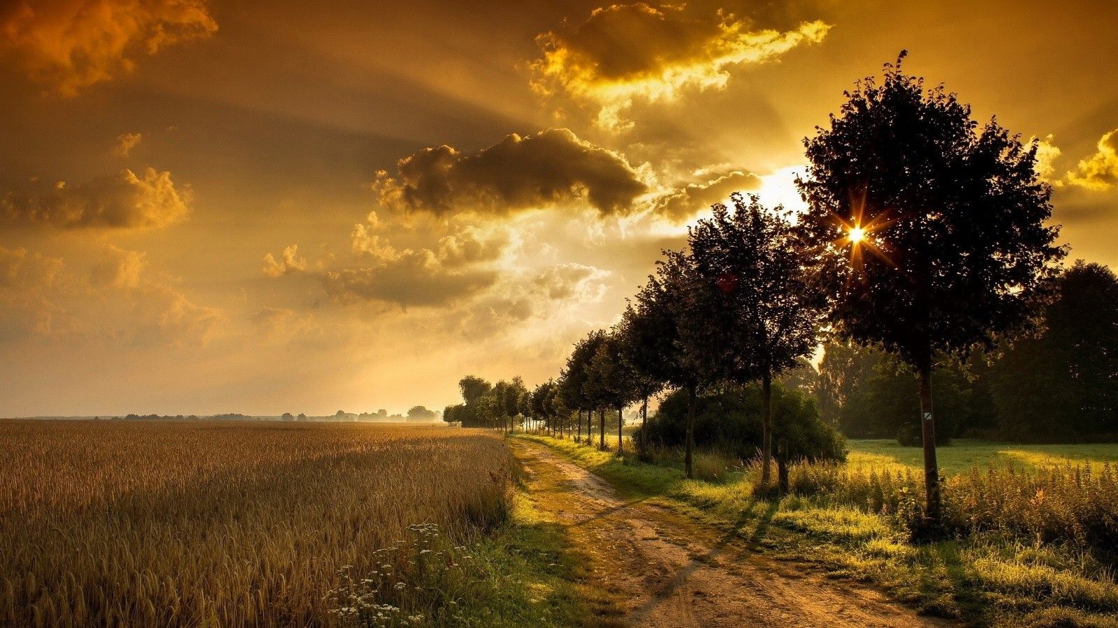 Tramonto strada campo grano, 1600x900 HD, Monitor Gaming