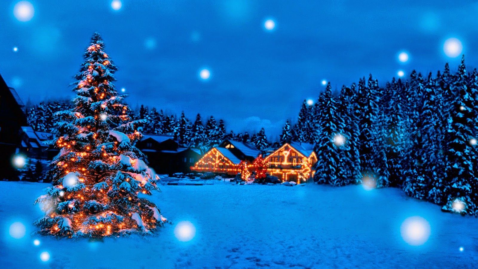 Albero di Natale innevato notturno, 1600x900 900p, Desktop