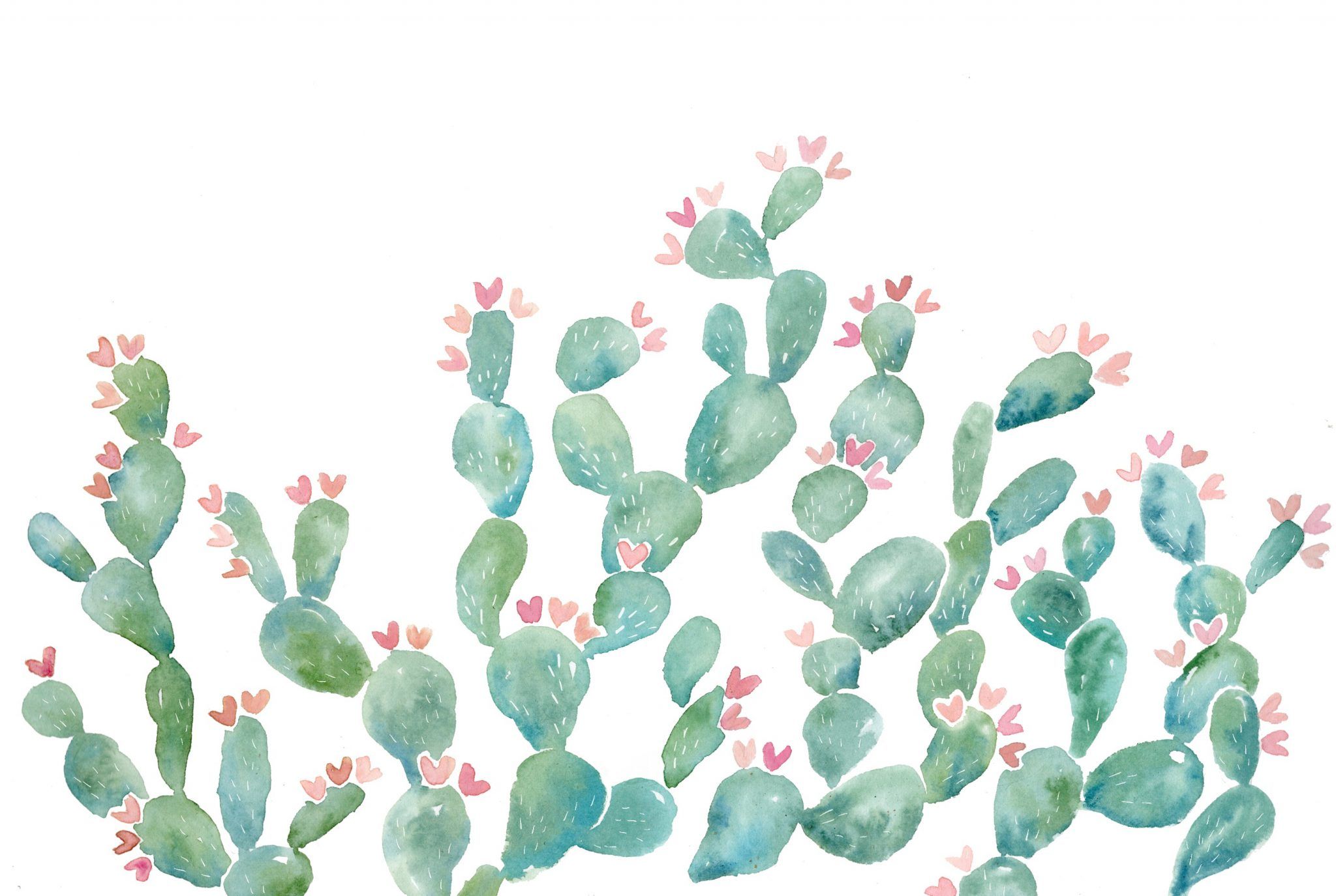Cactus acquerello verde rosa, 2048x1375 Hi-Res, PC Desktop