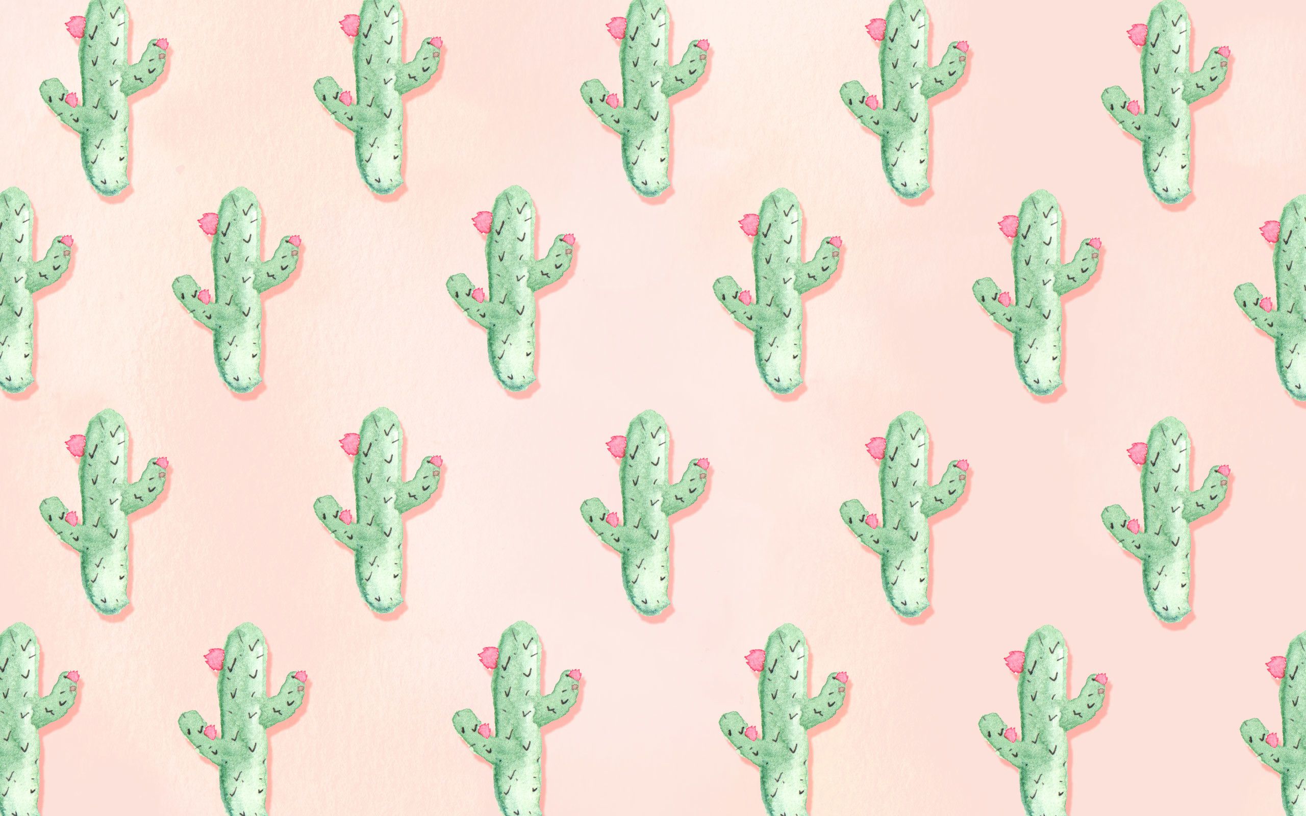 Pattern cactus verdi sfondo rosa, 2560x1600 2K+, Desktop