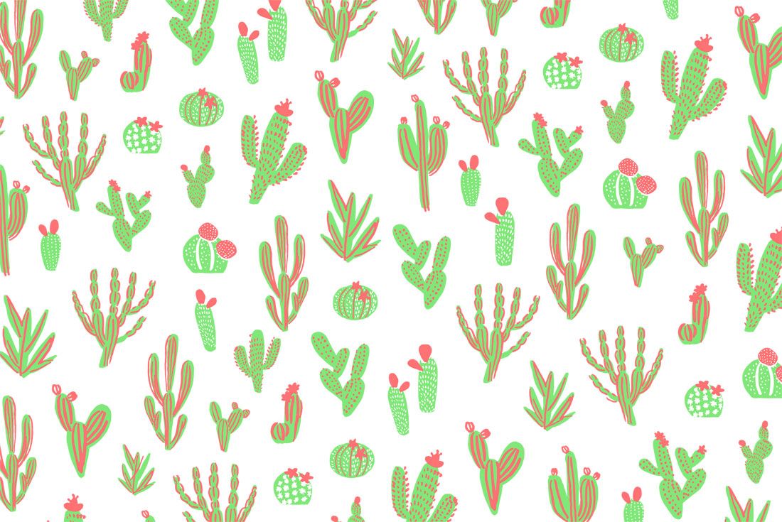 Pattern cactus verdi con fiori rosa, 1100x735 HD, Monitor Gaming