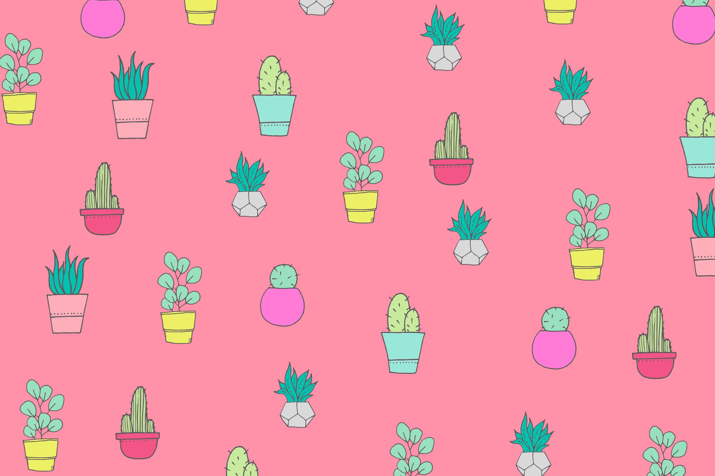 Cactus e piante grasse pattern rosa, 2400x1600 alta risoluzione, PC Desktop