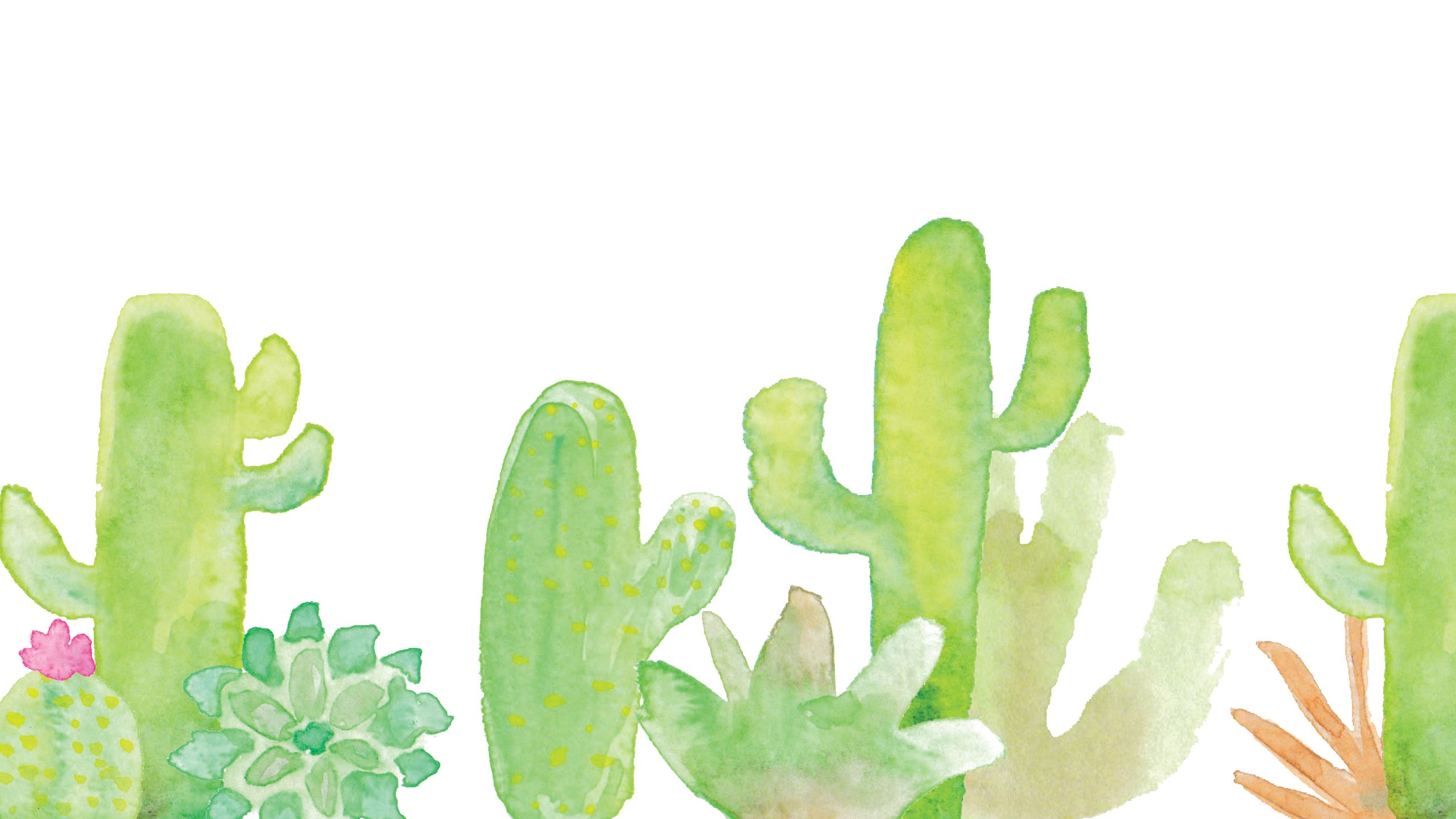 Cactus acquerello sfondo bianco, 2560x1440 1440p, Desktop