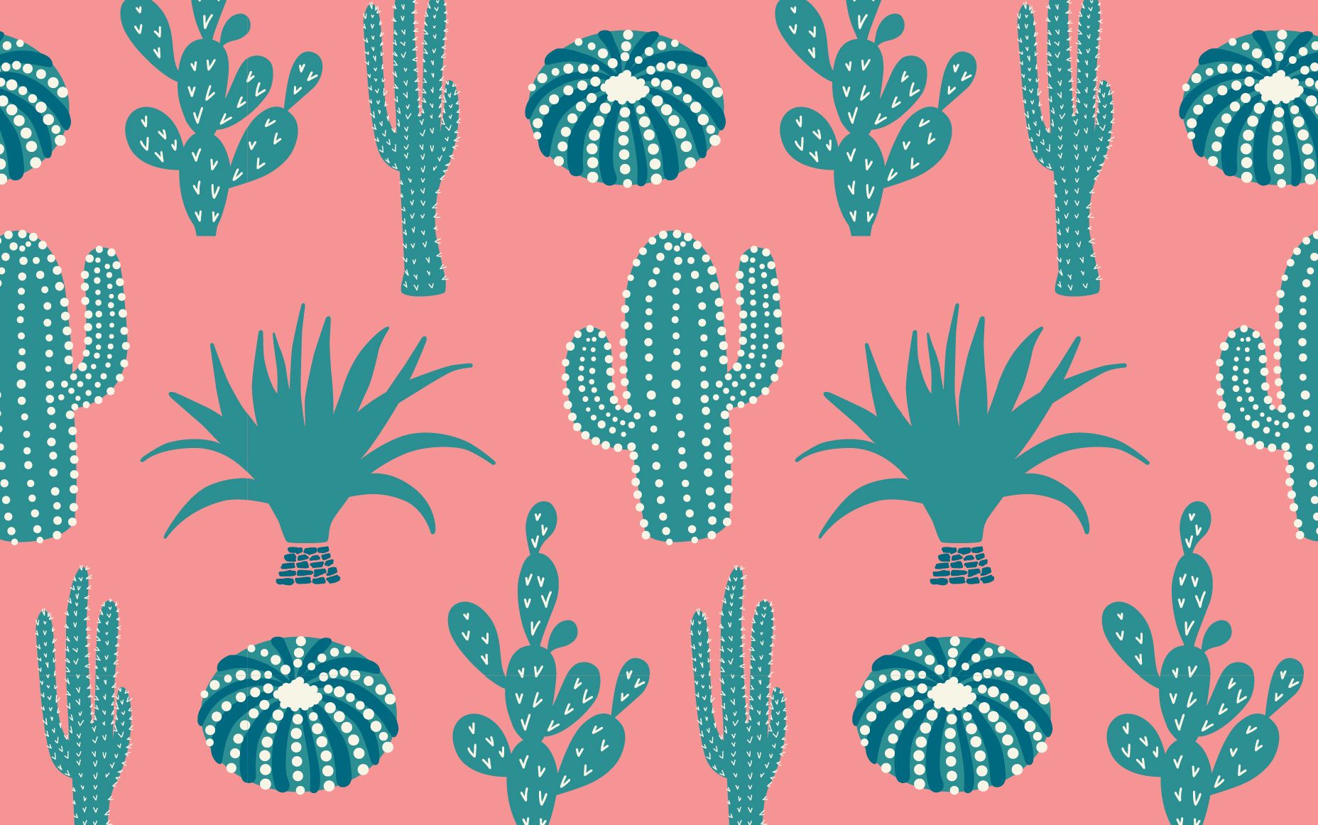 Cactus verdi su sfondo rosa, 1856x1162 900p, PC Desktop